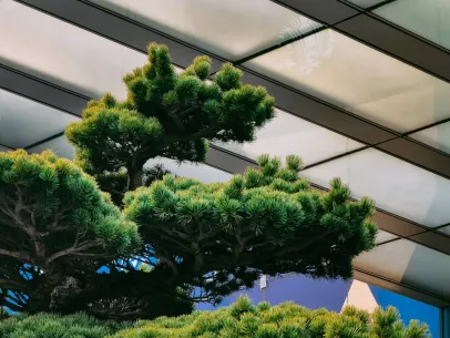 ArcaneBet Kazino Mobilioji programa